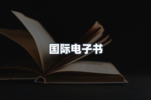 国际电子书